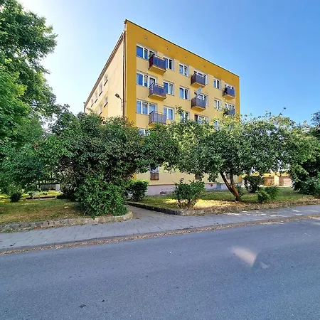 Classy - - Brzezno Plaza *