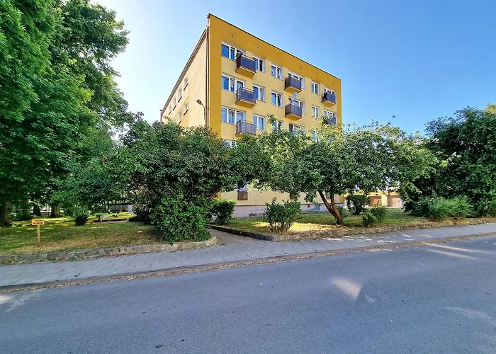 Classy - - Brzezno Plaza *